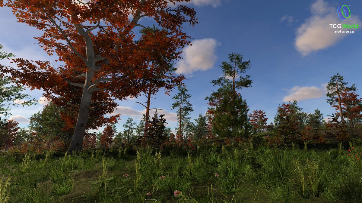 JonDixonTCG tweet media