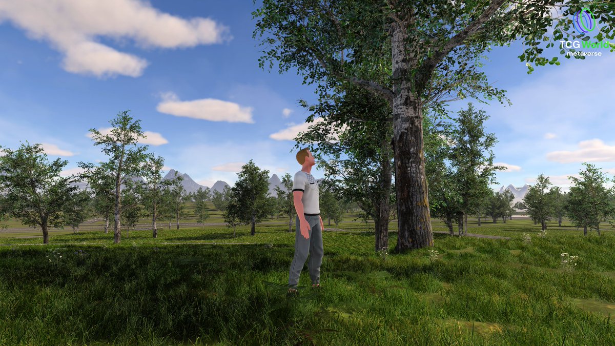 JonDixonTCG tweet media