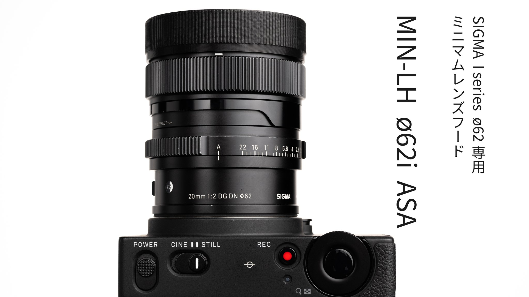 ayhyimam　プードル ayhyimam プードル ayhyimam プードル 小型犬】トイ・プードル