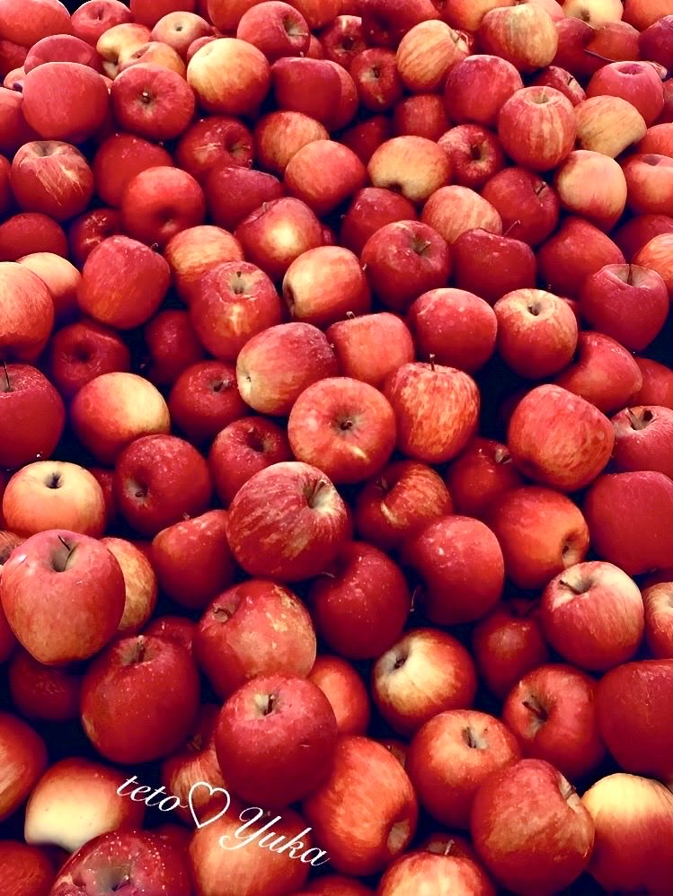 ‥
🍎〜りんご〜🍎〜買いましたｰ

りんご1日1個で〜医者いらず〜
健康食材ですよｰ
🍎は皮ごと食べてね、
皮には果肉の5倍の抗酸化成分です

〜🍎効能〜
• 免疫力アップ
• 抗酸化効果で老化防止
• 美肌効果
• 腸内環境の改善
• 血圧の安定むくみ予防

#りんこ 
#健康食材