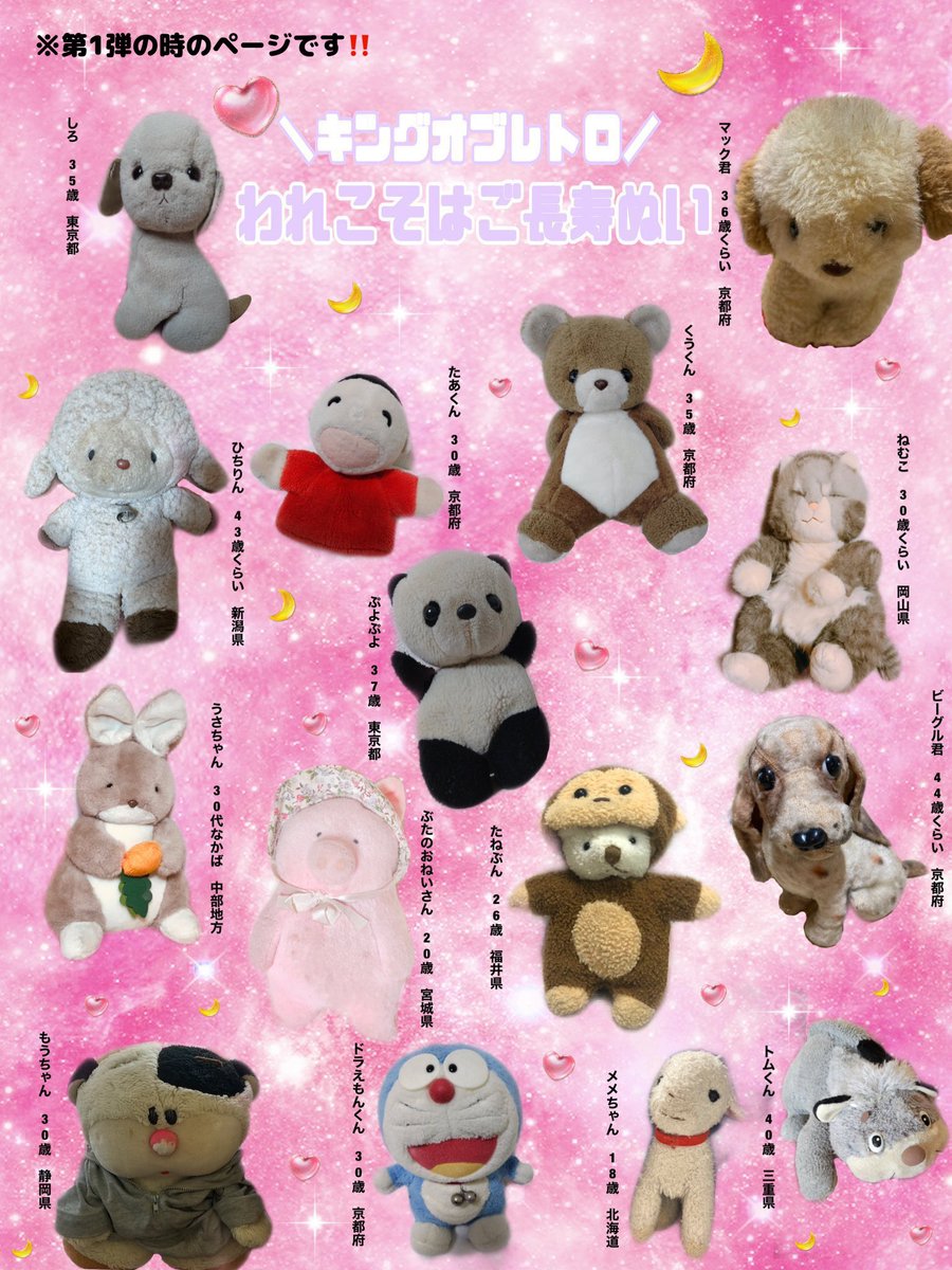 ぬいぐるみ雑誌『ぬいぬい』のご長寿ぬいコーナー、いいなぁ🐶🍵