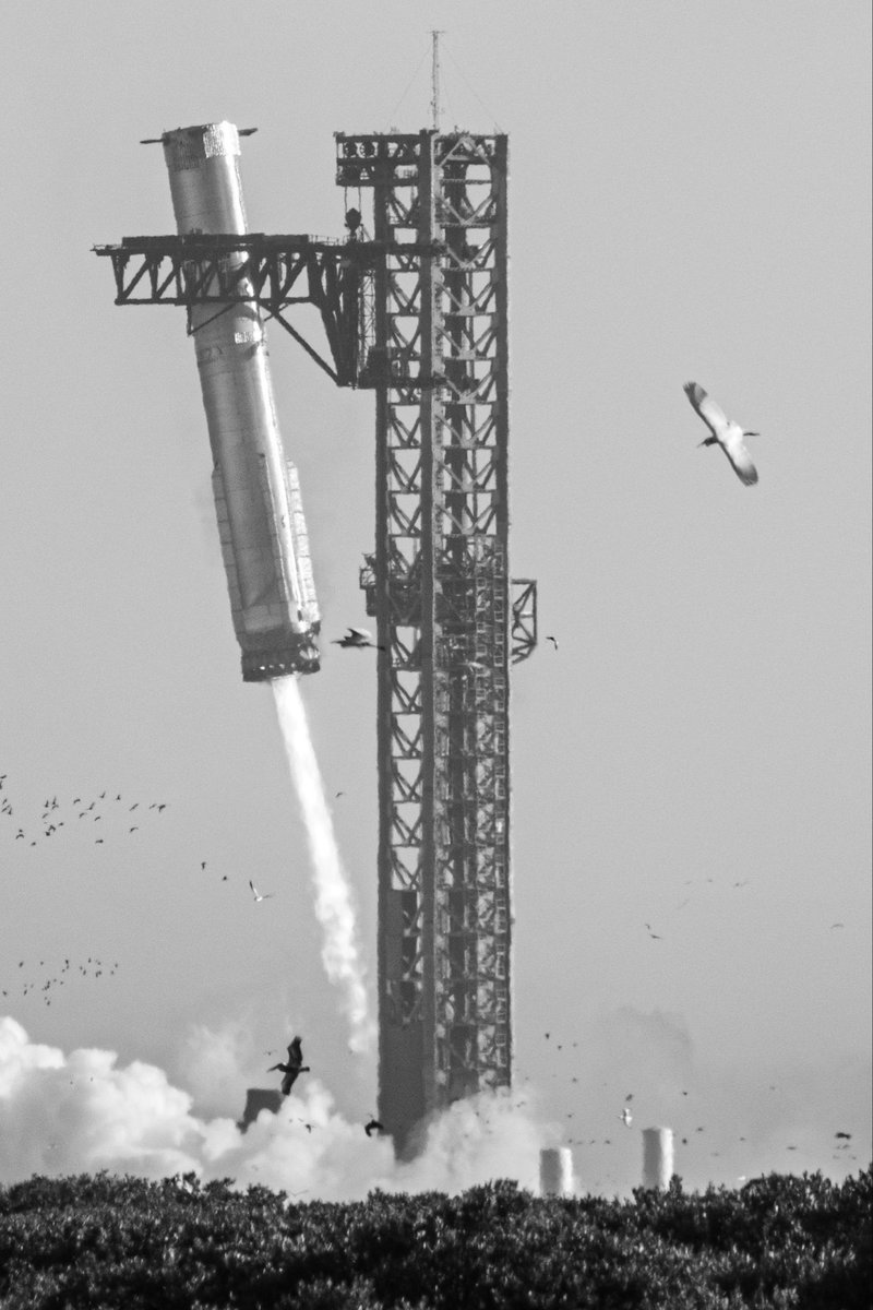 happy launch day to those who celebrate 🚀