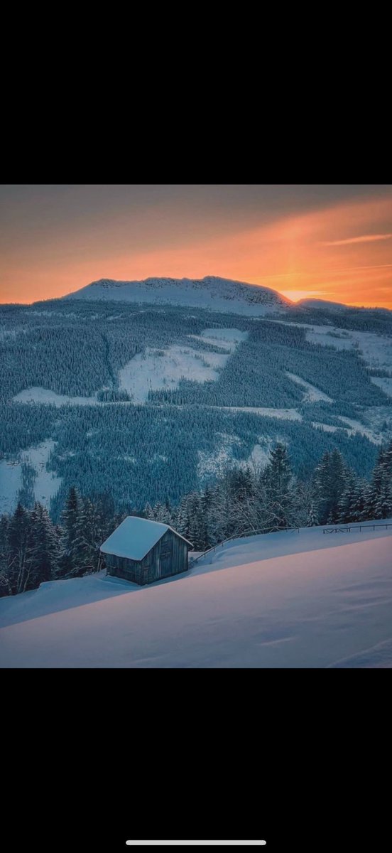 ArchitectOracle's tweet image. GM freNS ⚡️ ⚡️
They’re not White
They’re just kæike
He was right
Continue the fight
Future is bright
It’s just White
Norway for Norwegians🇳🇴🇳🇴