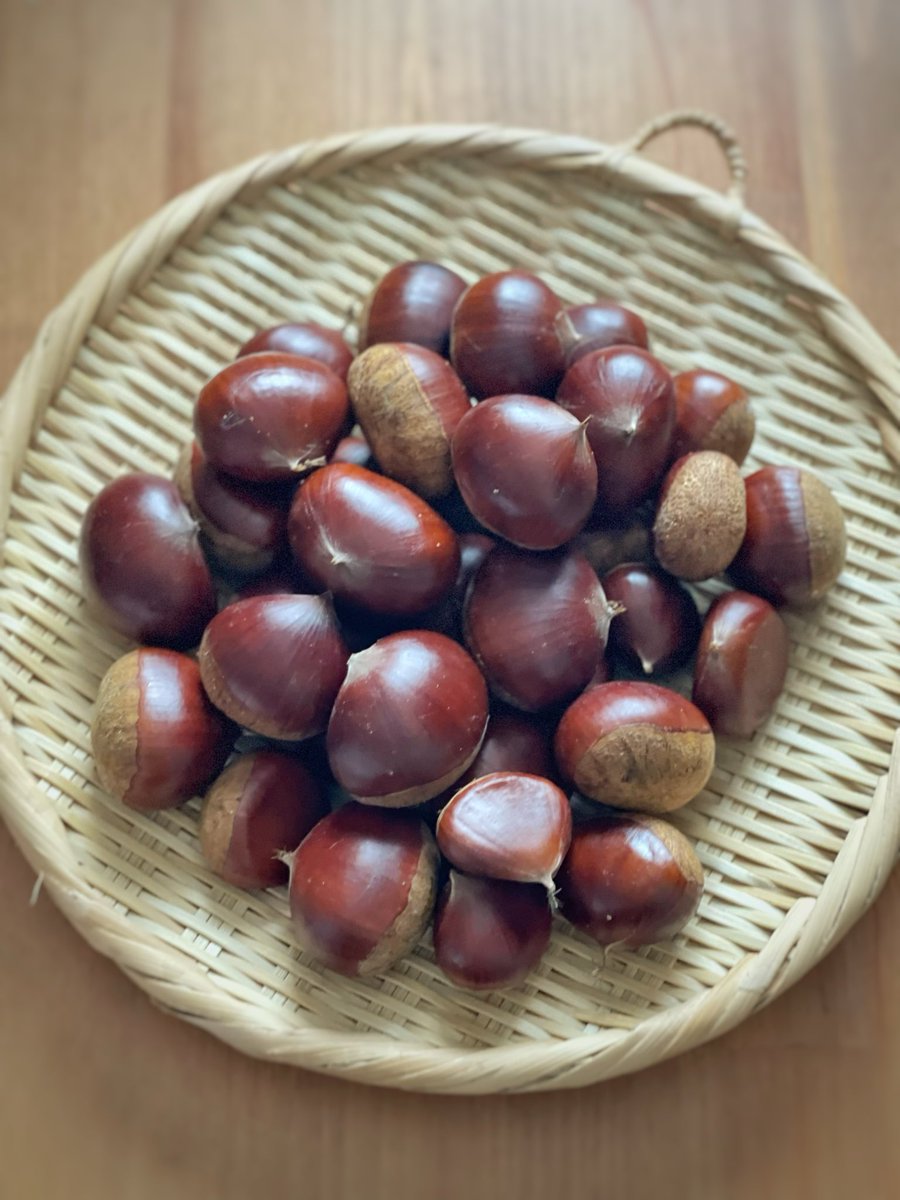 ふくまめちまるん tweet media