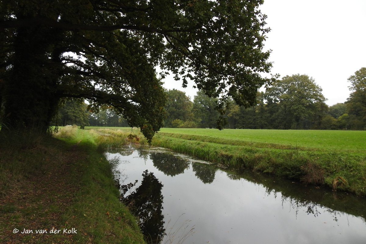 BekiekTwente's tweet photo. Hagmolenbeek en daar heel dichtbij een dode boom.
#Bentelo #Beantel 
#HofVanTwente #Twente #BekiekTwente https://t.co/L9ICPlhLDN