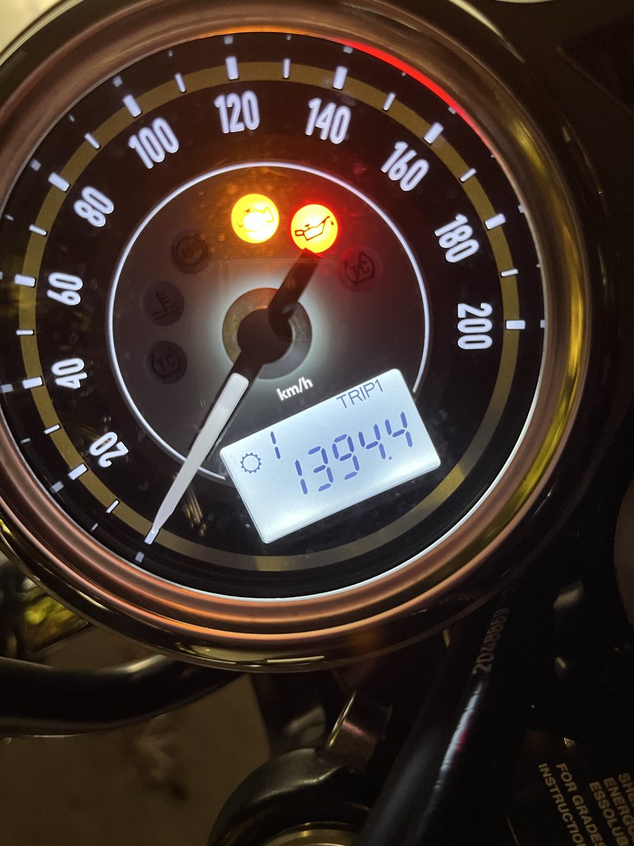 ペンギン1号 (@nekoken8848) / X