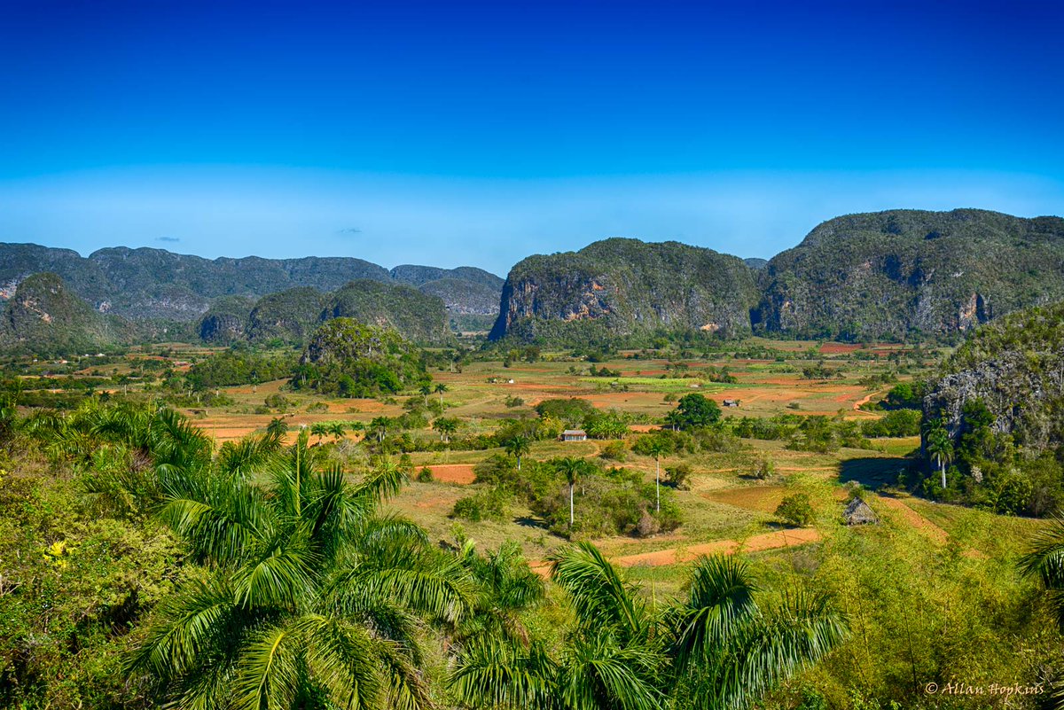 ahop305's tweet photo. The limestone karstic mogotes of Viñales, #Cuba #geology #DailyPictureTheme https://t.co/ZVVND2FXCJ