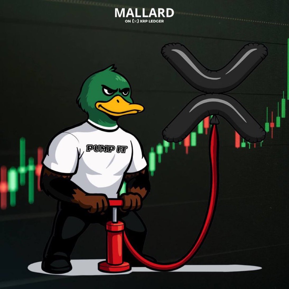 degeningbull's tweet image. It's uptober.... $MALLARD community is gonna send this duck to Valhalla resulting in making tons of future millionaires.
Be early. Diamond hand this duck. The cult is getting bigger and bigger.
Don't loose your opportunity/position .
Ca:
raaoPU9crbLGEFCMyh8moNH4gipsHJY3wN