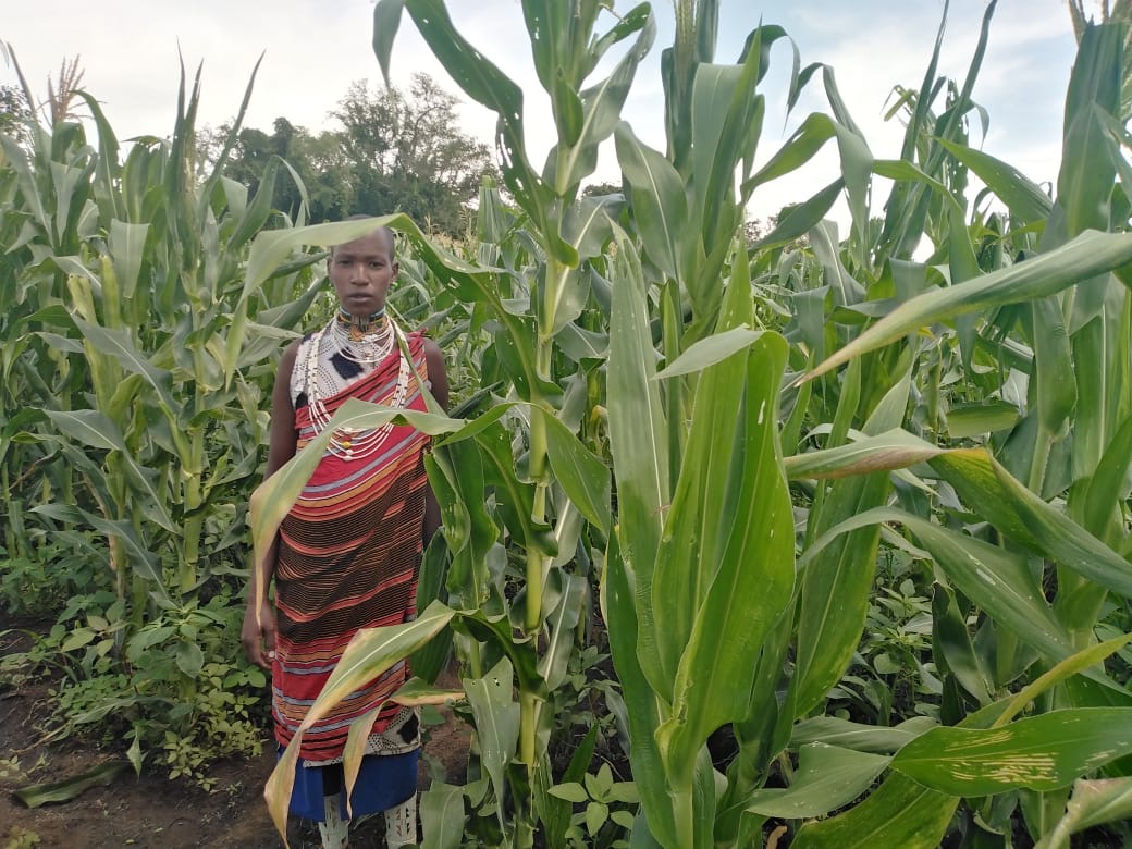 Indigenous Navigator tweet media