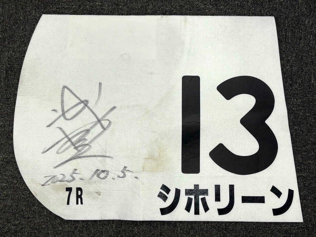 TNRacing_keiba's tweet image. 【シホリーン】牝3
10/5東京7R3歳以上1勝クラス（4着）
武豊騎手サイン入りゼッケンをプレゼントします！！
＜応募方法＞
（１）アカウントをフォロー 
（２）本投稿をリポスト
〆切は2025年10月27日23:59
※当選者にはDMでご連絡します🎊
#モーリス #パンデリング #レイクヴィラファーム #武井厩舎