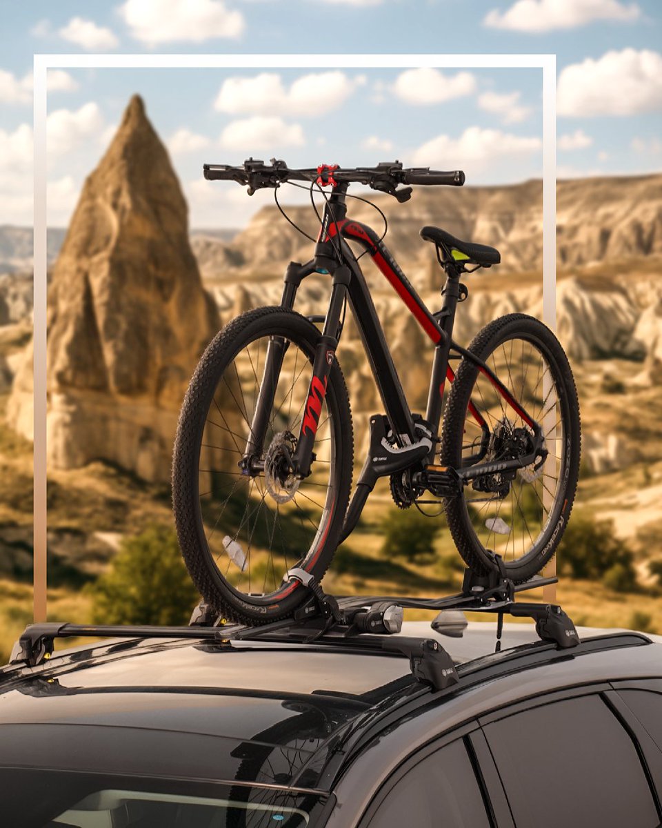 Turtle Can Carry tweet media