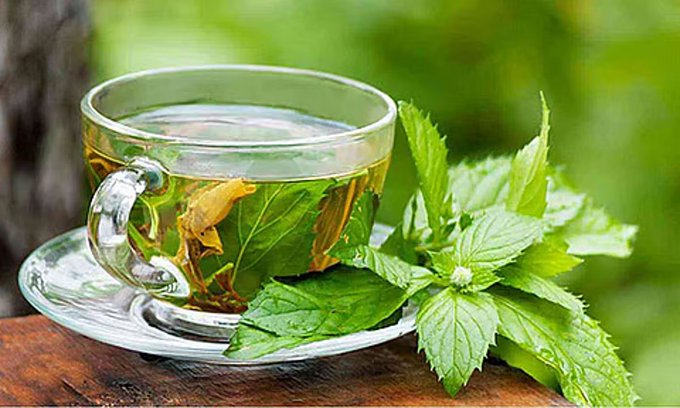الشاي الأخضر وصحة الكبد.. دراسة يابانية تكشف الفوائد. دراسة من جامعة كاغوشيما: الاستهلاك اليومي للشاي الأخضر يقلل تراكم الدهون في الكبد.. يعزز استقلاب الدهون ويعيد توازن ميكروبات الأمعاء.. يحتوي على EGCG الذي يثبط تصنيع الدهون ويحفز تحليلها.. كوب واحد يوميًا يحمي من الكبد الدهني والاضطرابات الأيضية.. تطوير مكملات جديدة من الشاي الأخضر والأعشاب البحرية لتحسين الهضم وحرق الدهون 