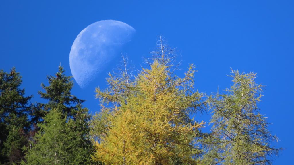 hansterbraak's tweet image. Het is strak blauw in de #Alpen.
Hoe is het bij jullie :-)
#Maan (11.30 uur)
#Kals am #Grossglockner