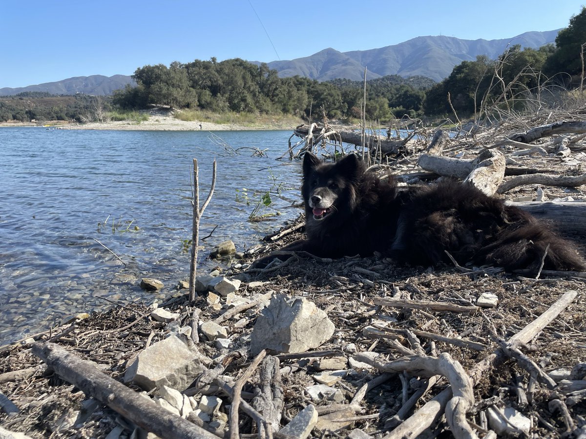 Prayers to my boy, he’s not doing well.  We’re going to do what we can. But please pray for him and me in this moment, we need it.