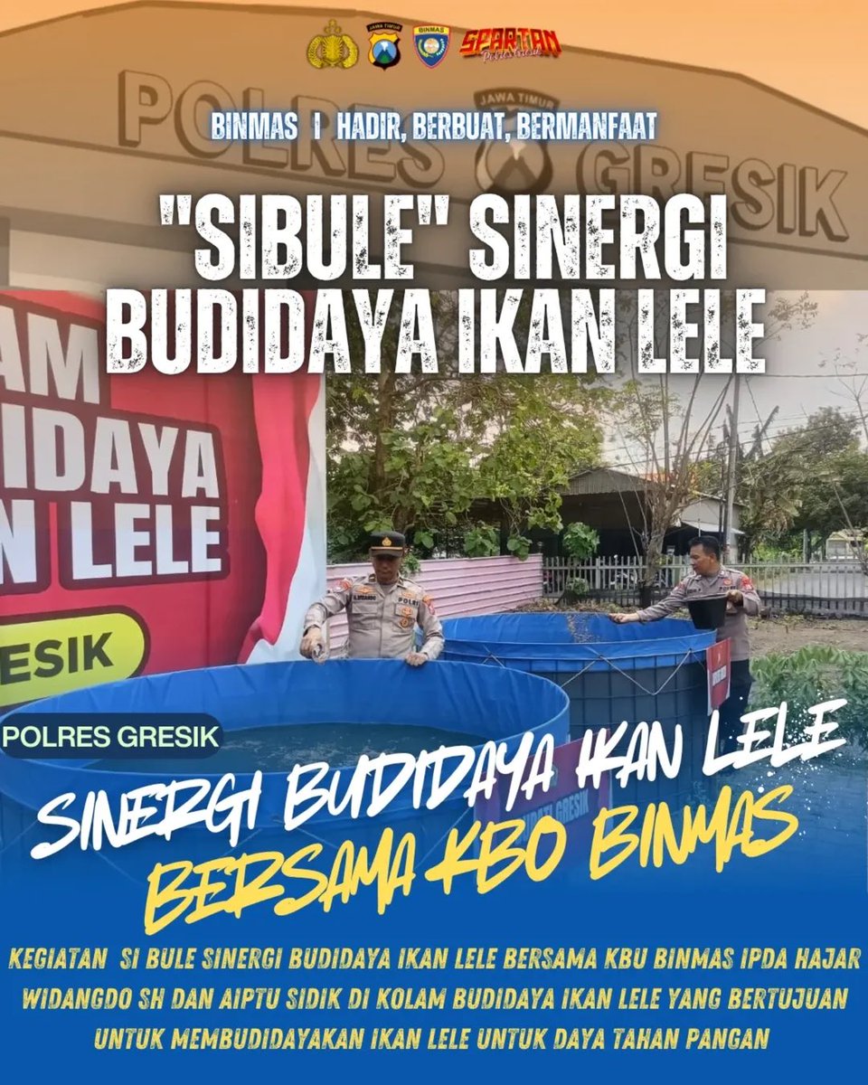 rovanmahenu's tweet image. SIBULE Sinergi Budidaya Ikan Lele Bersama KBO Binmas IPDA HAJAR WIDAGDO S. H Mlaksanakan kegiatan si bule Sinergi budidaya ikan lele dengan memberi makan kepada ikan lele demi ketahanan daya pangan Polri
#polriuntukmasyarakat #polresgresik #satbinmaspolresgresik…