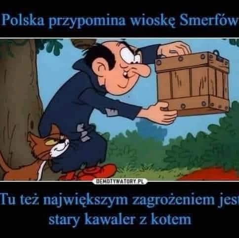 Grażyna Miziuła Gracja (@gmiziula) on Twitter photo 