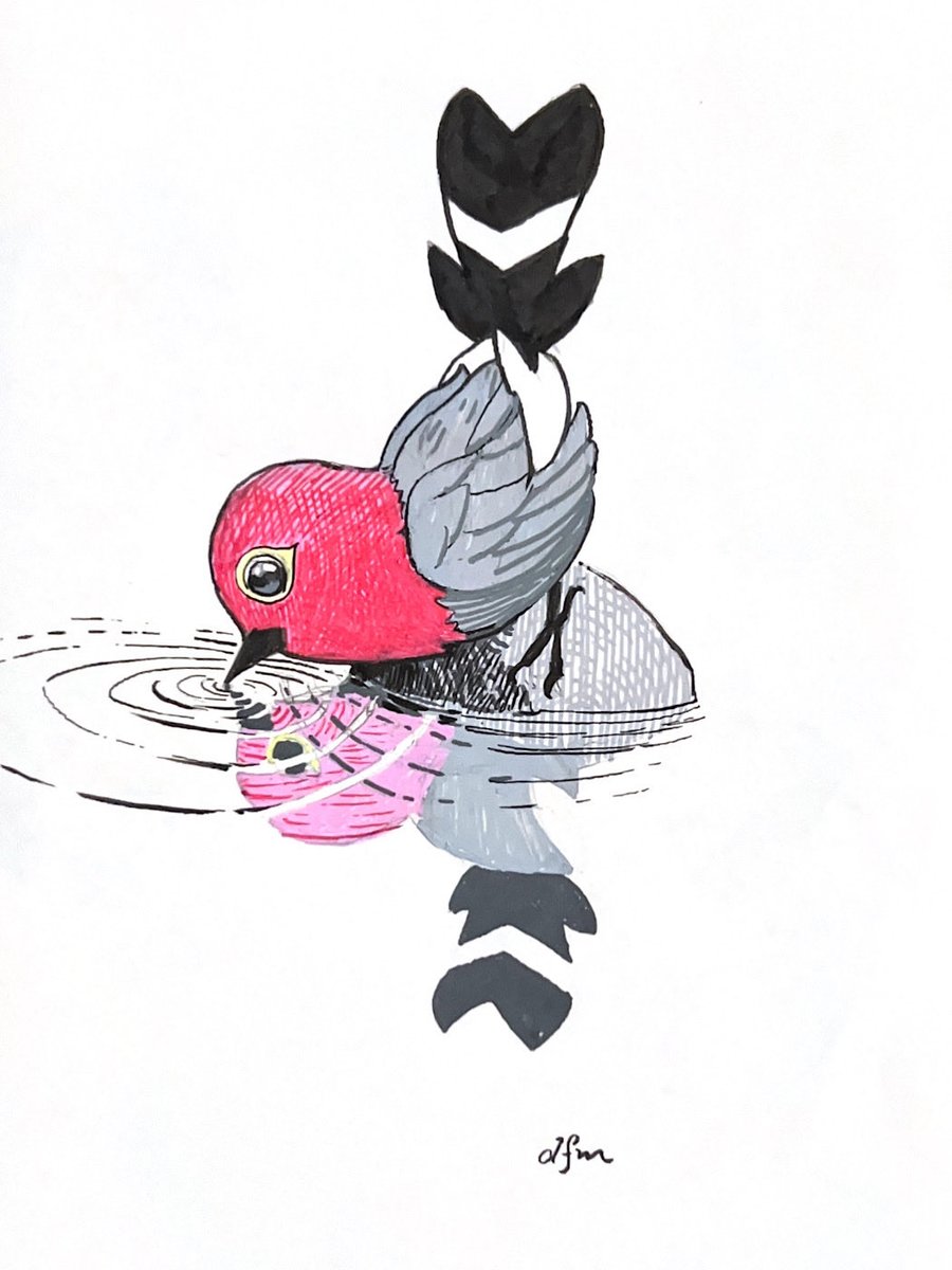 dfmorrill's tweet image. Day 13 a little #drink #fletchling #pokemon #pokétober #inktober #poketober2025 #inktober2025