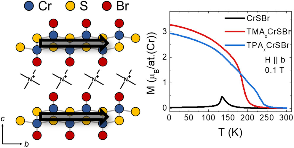 💡CFM HIGHLIGHT 
👥 Marco Gobbi et al 
📑<a href="/acsnano/">ACS Nano</a>  
🧲🌡️Ferromagnetism above 200 K in Organic-Ion Intercalated CrSBr
➡️pubs.acs.org/doi/full/10.10…
<a href="/CSIC/">CSIC</a> <a href="/upvehu/">UPV/EHU</a> <a href="/nanoGUNE/">CIC nanoGUNE</a> #iztech <a href="/ehu_kimika/">Kimika Fakultatea UPV/EHU</a> <a href="/ICMol_UV/">ICMol</a> <a href="/Ikerbasque/">Ikerbasque</a>