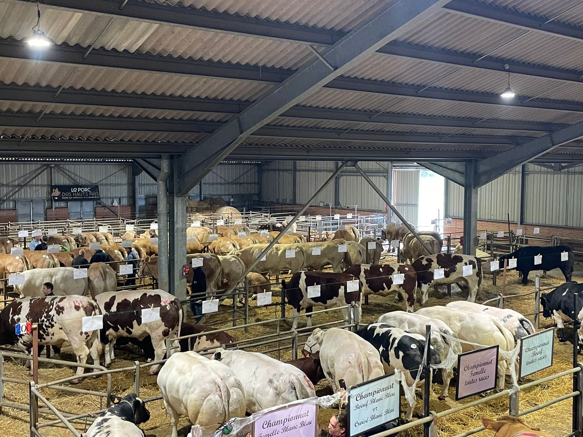 fdouhane's tweet photo. 🥩 Fier d’avoir participé, en tant que membre du jury, au Concours de la meilleure entrecôte des Hauts-de-France au marché aux bestiaux du Cateau-Cambrésis.
Une belle vitrine du savoir-faire et de la passion de nos éleveurs et bouchers 🐄❤️ https://t.co/IuQGZaN0qm