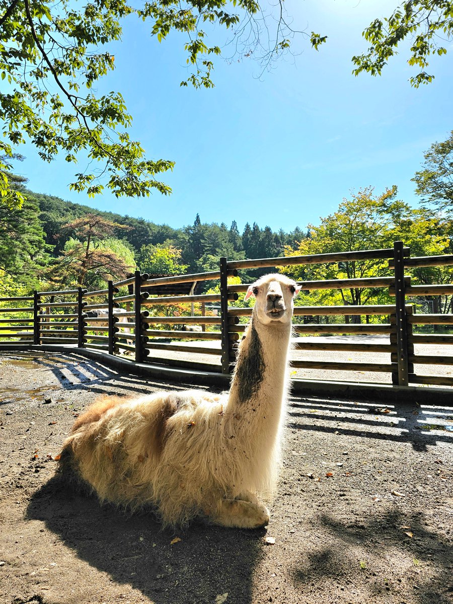 るるる (@rururu3) / Posts / X