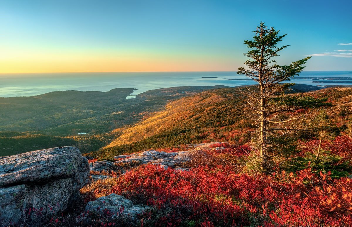 Good morning from Maine my friends and fellow Patriots.  Happy Columbus Day!! 🦞⛵️⛰️🌲🍂🍁