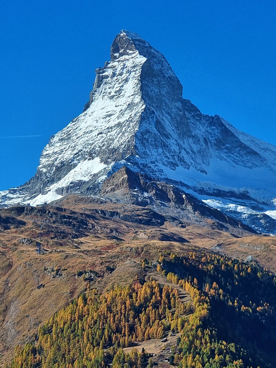 subfossilguy's tweet image. Guten morgen! 😍