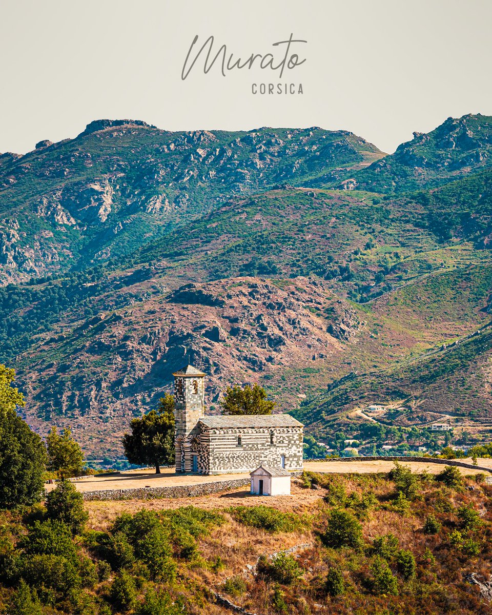 Ce lundi, 𝗭𝗶𝗹𝗶𝗮 vous emmène du côté de 𝗠𝘂𝗿𝗮𝘁𝗼, village posé à 500 mètres d’altitude dans un écrin de verdure qui regorge de trésors patrimoniaux et architecturaux comme l'église Saint-Michel, édifice qui date de 1140 ! 😍 
Avè una bella settimana à tutti ! 💪🍀 
#Zilia