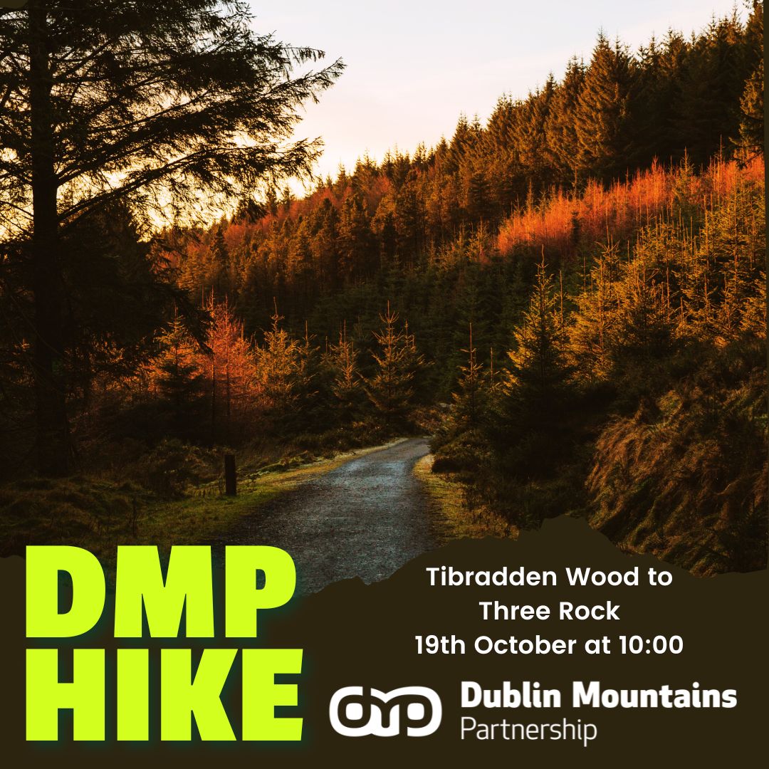 🌲 Join Us for a Guided Mountain Hike! 🥾

Explore the stunning trails of Tibradden, Fairy Castle, and Three Rock on a 13.5km loop through forest and open mountain.  
📅 Sunday, 19th October at 10:00 
📍 Tibradden Forest Overflow Car Park  
🎫Book here eventbrite.co.uk/e/dmp-hike-tib…