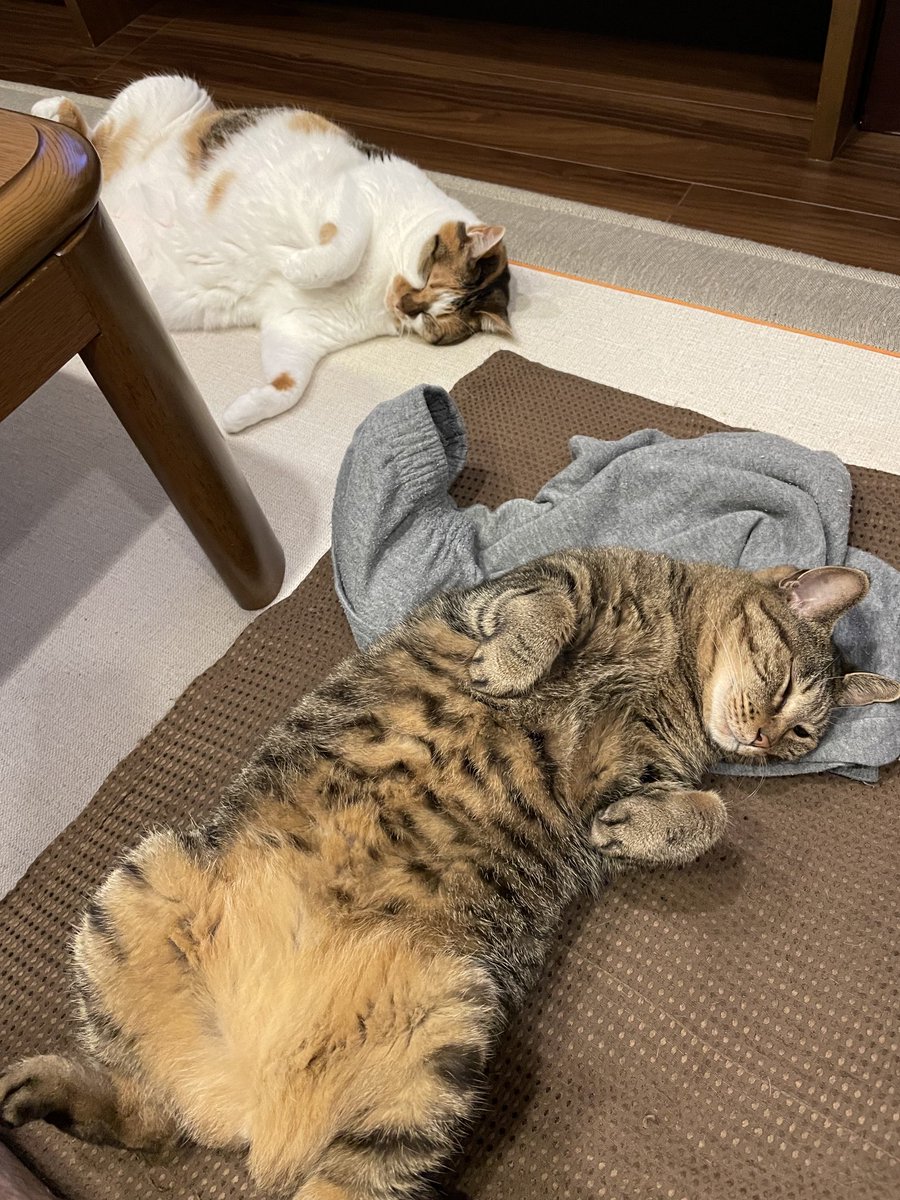 ハロウィンポーズ👻