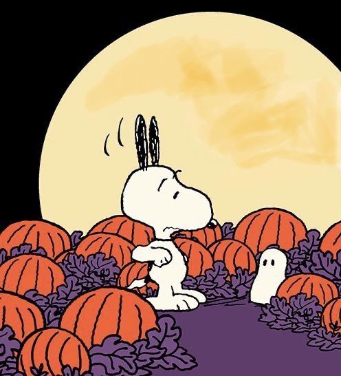 🎃🎃