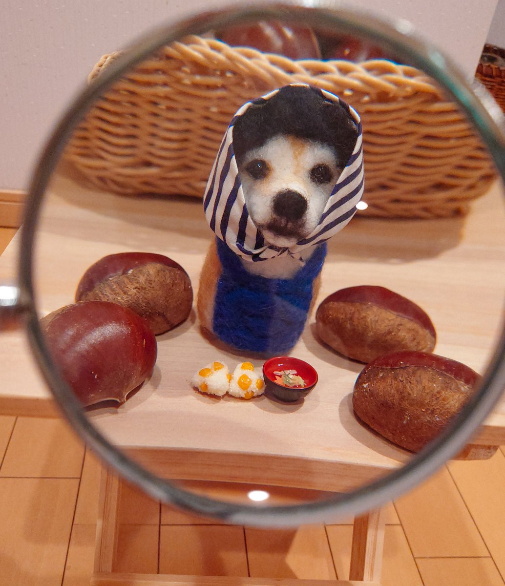 kumabolero0571's tweet image. 「クリ🌰食べてくり〜
◝(・̄ധ・̄)◜`⁽˙꒳˙⁾´
クリクリ🌀小さいお母ちゃんズが21時半をお知らせします🔔
虫が入ってないか1個ずつ丁寧にクリクリ🌀チェック済み🌰🔍(◉ω◉`)
クリご飯🌰🍙定食いかが〜?
送信出来てなくてびっクリΣ(´⊙ω⊙`)🌰
#お知らせ小さいお母ちゃん #ましバニアファミリー