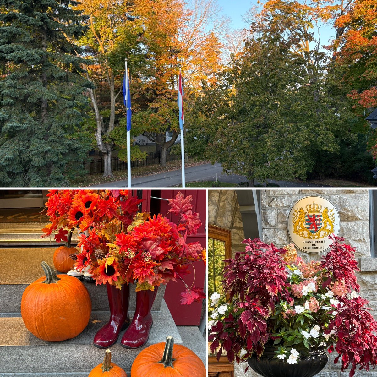 Wishing everybody today a very Happy and Joyful #ThanksgivingCanada! 🍁#Thanksgiving celebrating gratitude &amp; the harvest, from <a href="/LUinOttawa/">LUinOttawa</a> 🇱🇺 🇨🇦