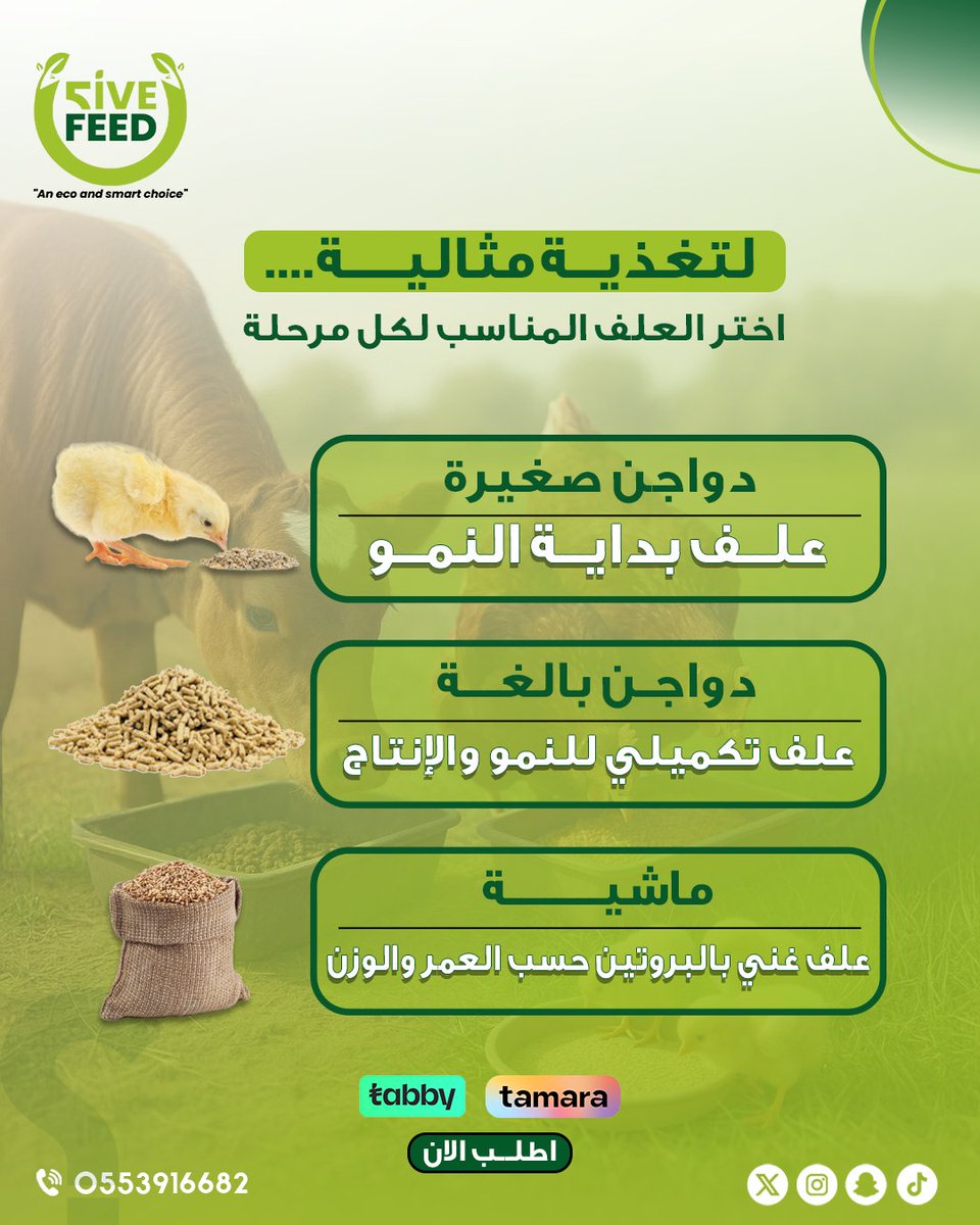 شركه فايف فييد لتجاره الاعلاف بخدمتكم 
📲0553916682
#اعلاف_الامارات_فايف_فيد 
#اعلاف #اعلاف_الامارات #أعلاف_الإمارات #اعلاف_الامارات_ابوظبي