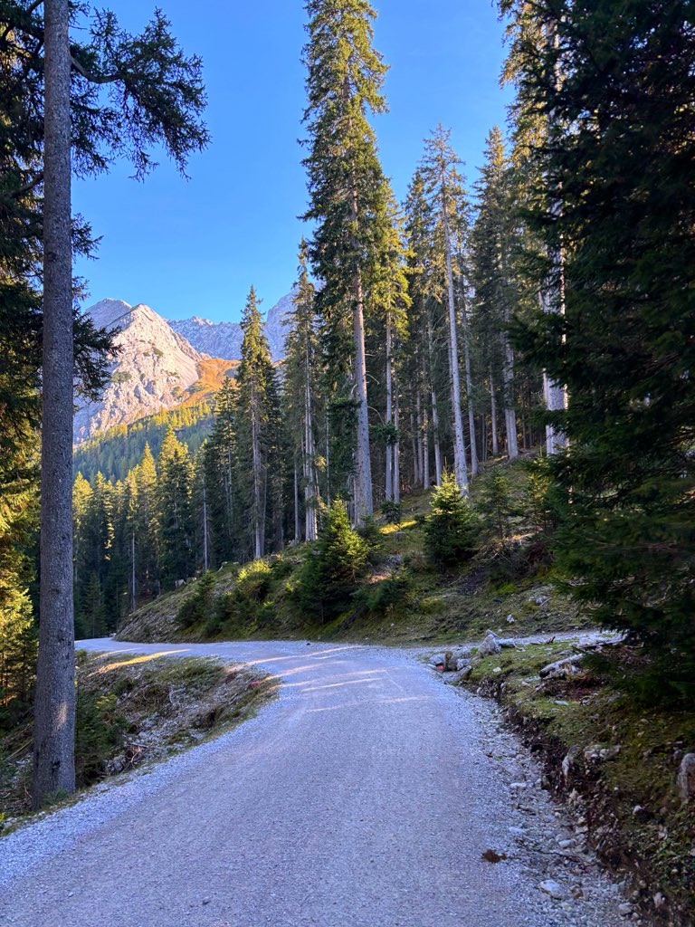 soIacedsun's tweet photo. today i walked 32.000 steps in the austrian alps, somewhere between exhaustion and awe https://t.co/nybAWB3iDZ