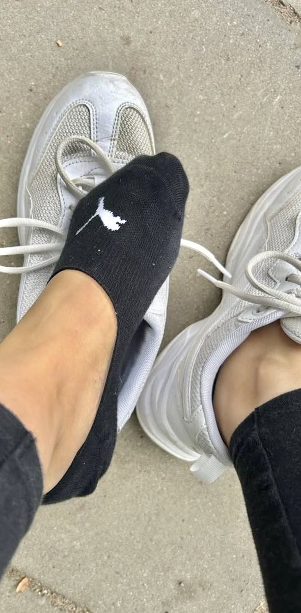 Enayi finolarım nerde yurda geçmeden bir kaç enayi kerizlemem lazım 📩📩#finansalköle