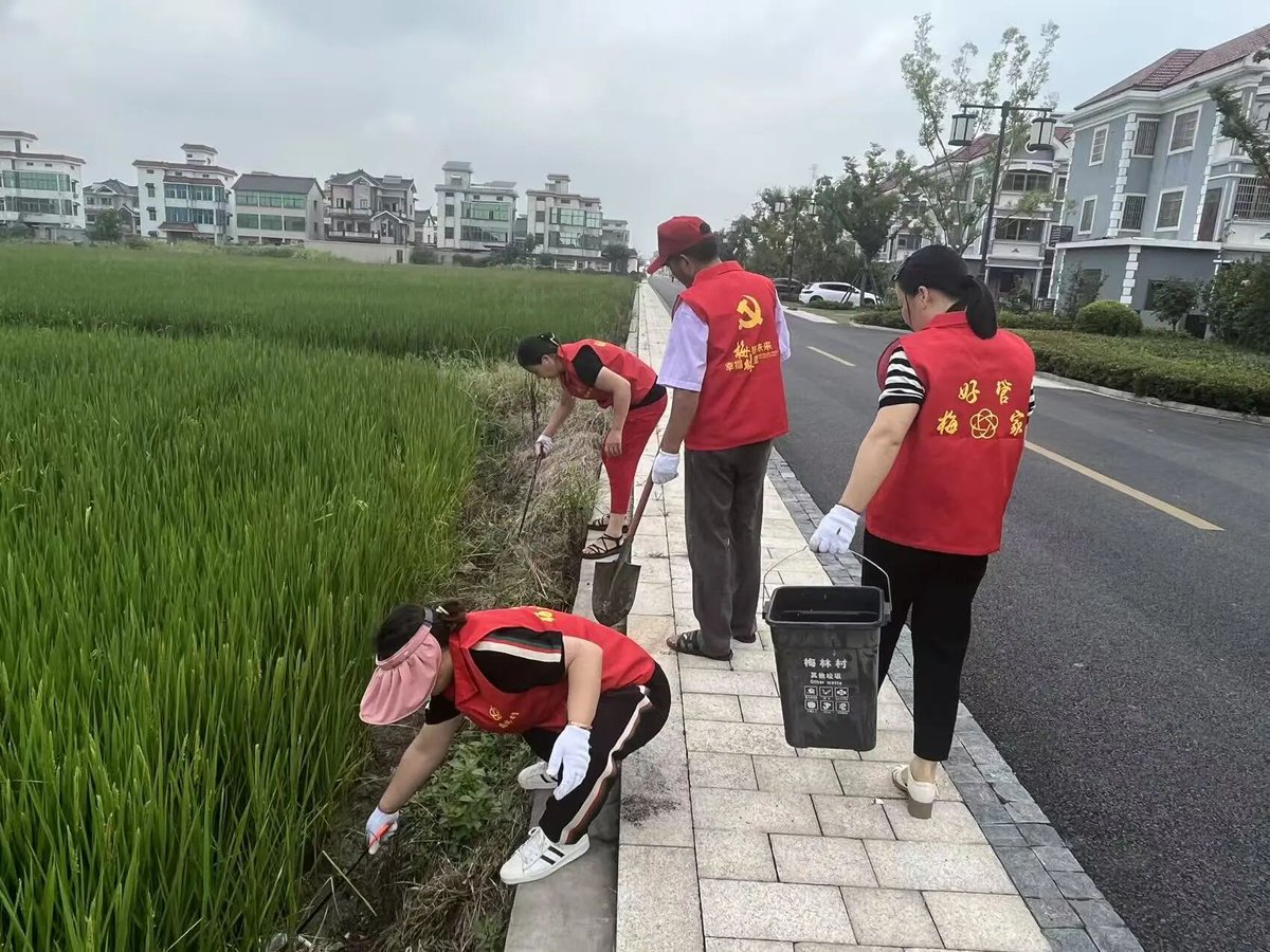iXiaoshan's tweet photo. Honoring the Global Summit of Women in Beijing, Xiaoshan would like to offer a salute to the strength of its women. For 20 years, women here have turned rural dreams into vibrant realities. 💖 https://t.co/R6QzBaFTTe