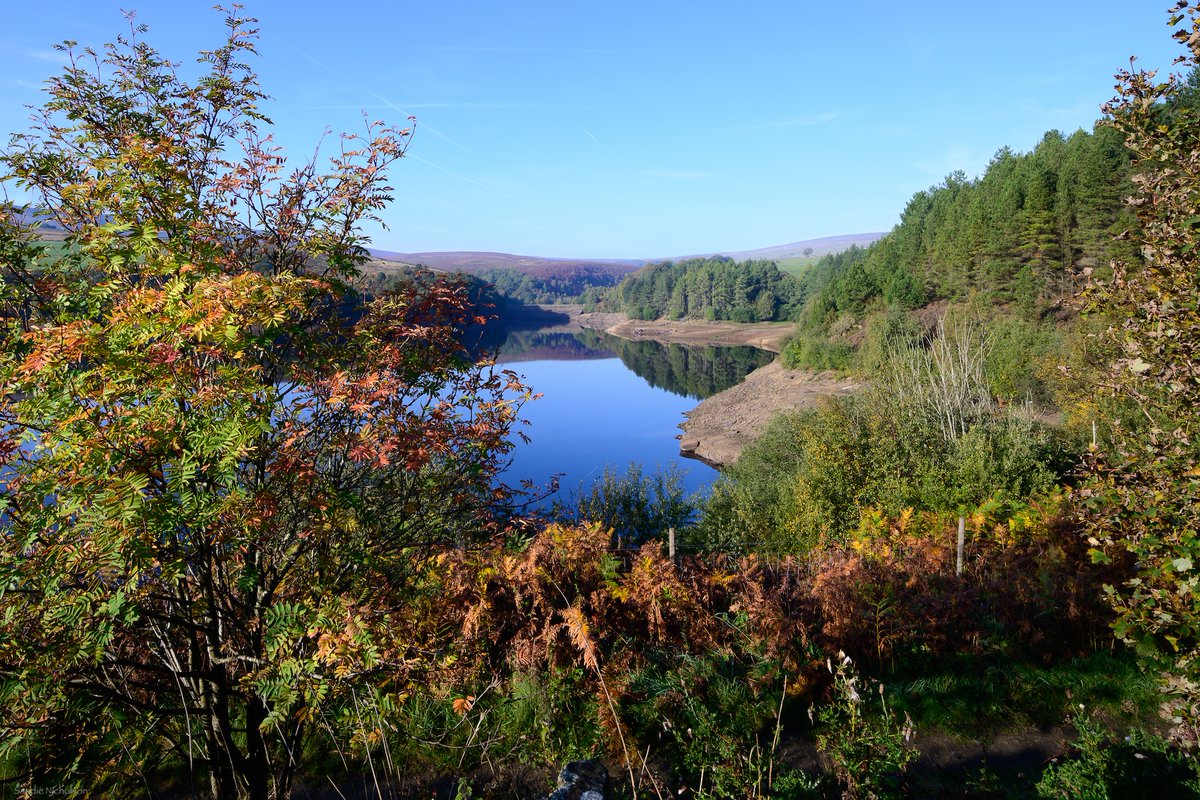 holmfirthphotos's tweet photo. Still some way to go, but Digley reservoir now has sufficient water to create beautiful reflections on calm autumn days!
#Holmfirth #Yorkshire @YorkshireWater @Hudsonweather @bbcweather @BBCLookNorth @StormHour @ThePhotoHour #loveukweather #autumn #ukweather #WeatherWatcher https://t.co/ASB4fxXkRC
