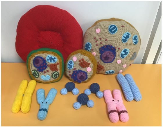 SAPS_News's tweet image. This #biologyweek your students can show off their creative flair with the #RSB #BioCraft Competition where they can create a biology-inspired 3D artwork from various materials🌿 🧑🎨🎨🗜️🌵
👀For more: rsb.org.uk/biocraft-compe…
#bioCRAFT #biocraftcomp #artcompetition
#plantsci