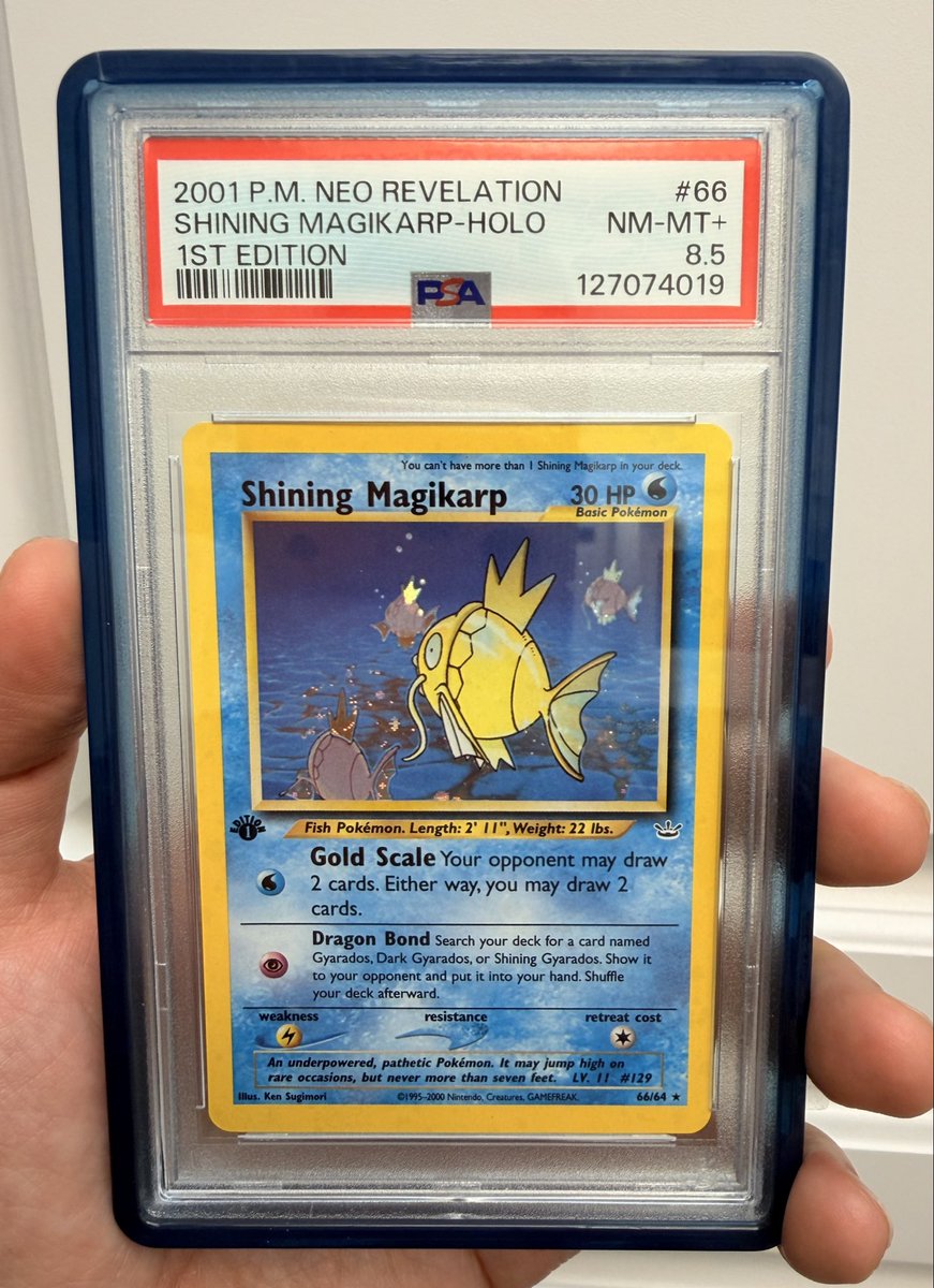 Shining the Charizard Magikarp PSA - Pokemon Update to 