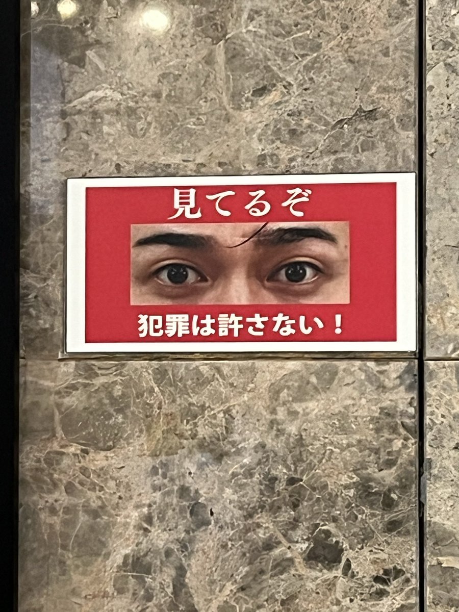 いぬ🫧 tweet media