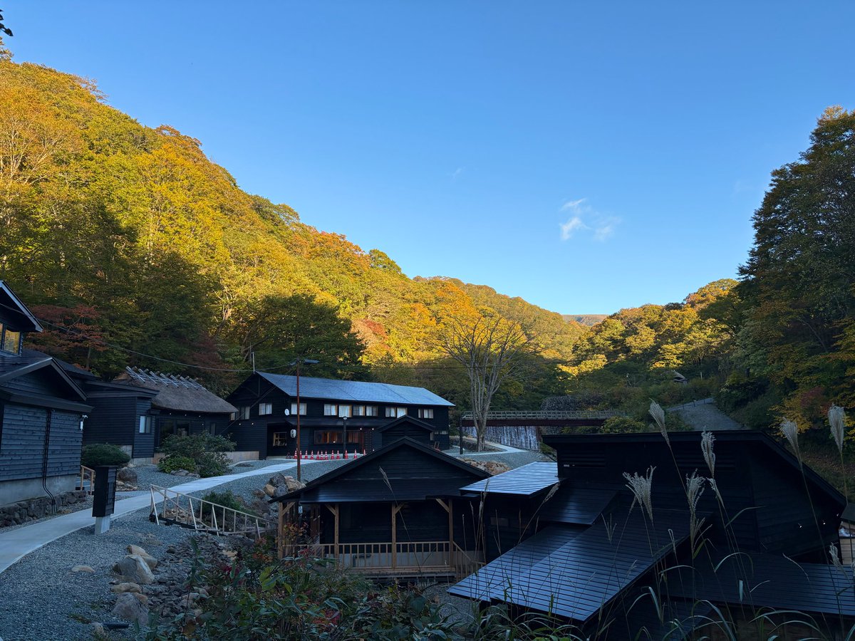 祐芽、今日はまた秋田駒ヶ岳と乳頭山で友達もいたけど秋晴れの気持ちよすぎる一日ゆる散歩だったね
乳頭温泉も紅葉めちゃくちゃ見頃になってて良かったね

 #初星学園ぬいぬい部
 #初星学園ぬいぬい登山部