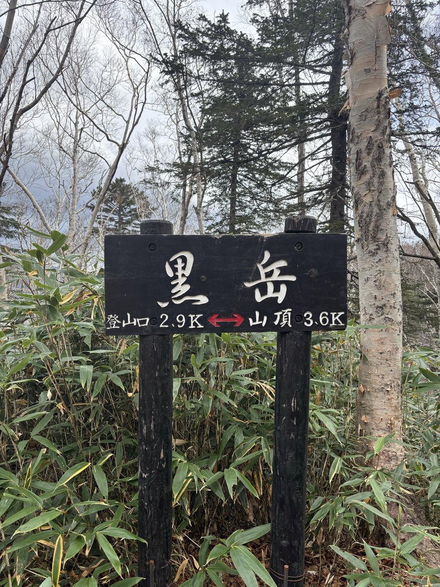 IsXjxp's tweet photo. 自然堪能 https://t.co/H04CkwfzUl
