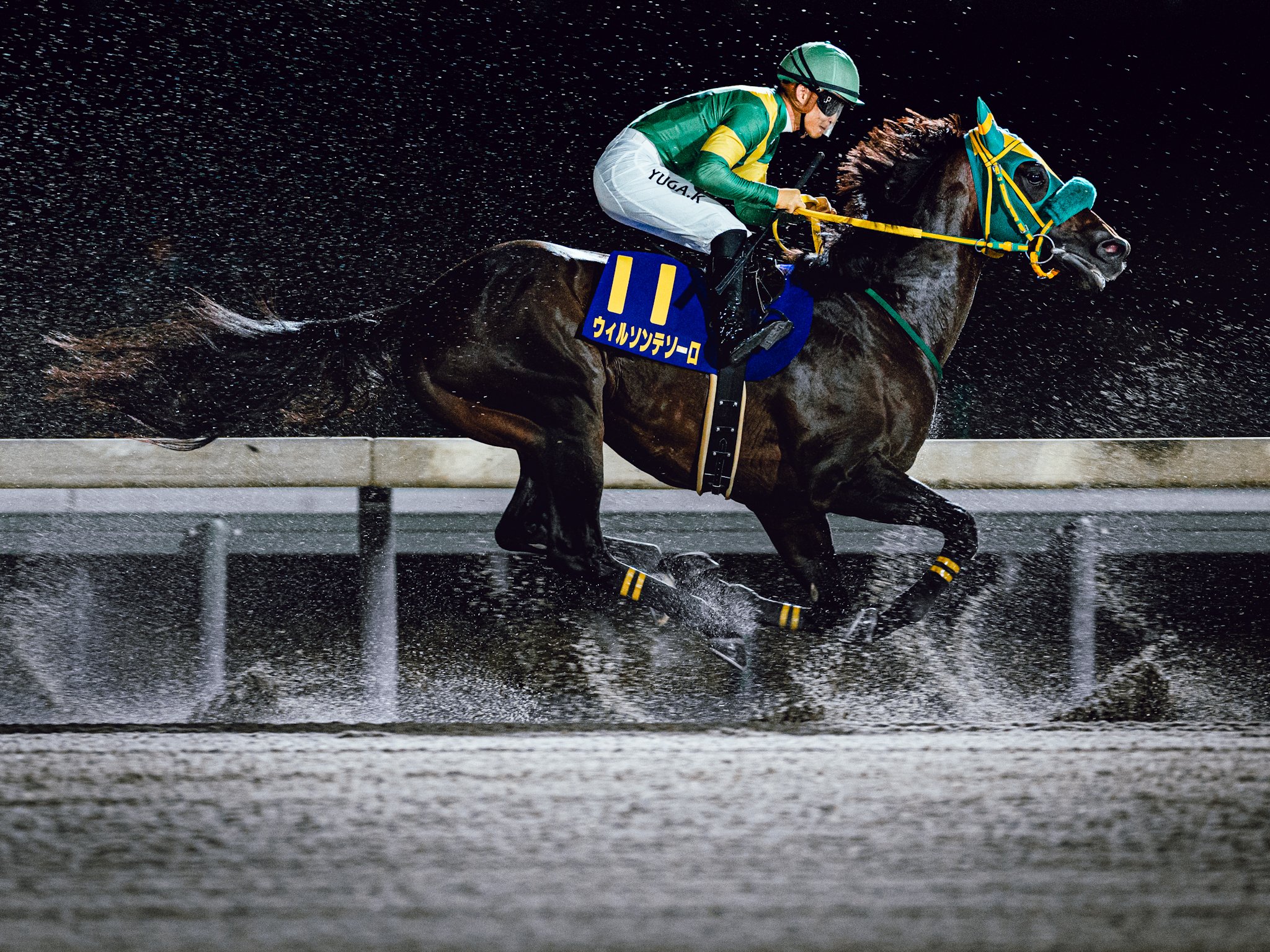 キタサンブラック　MEGABIG　受注生産 サラブレッドコレクション】限定受注生産☆MEGA BIGぬいぐるみ