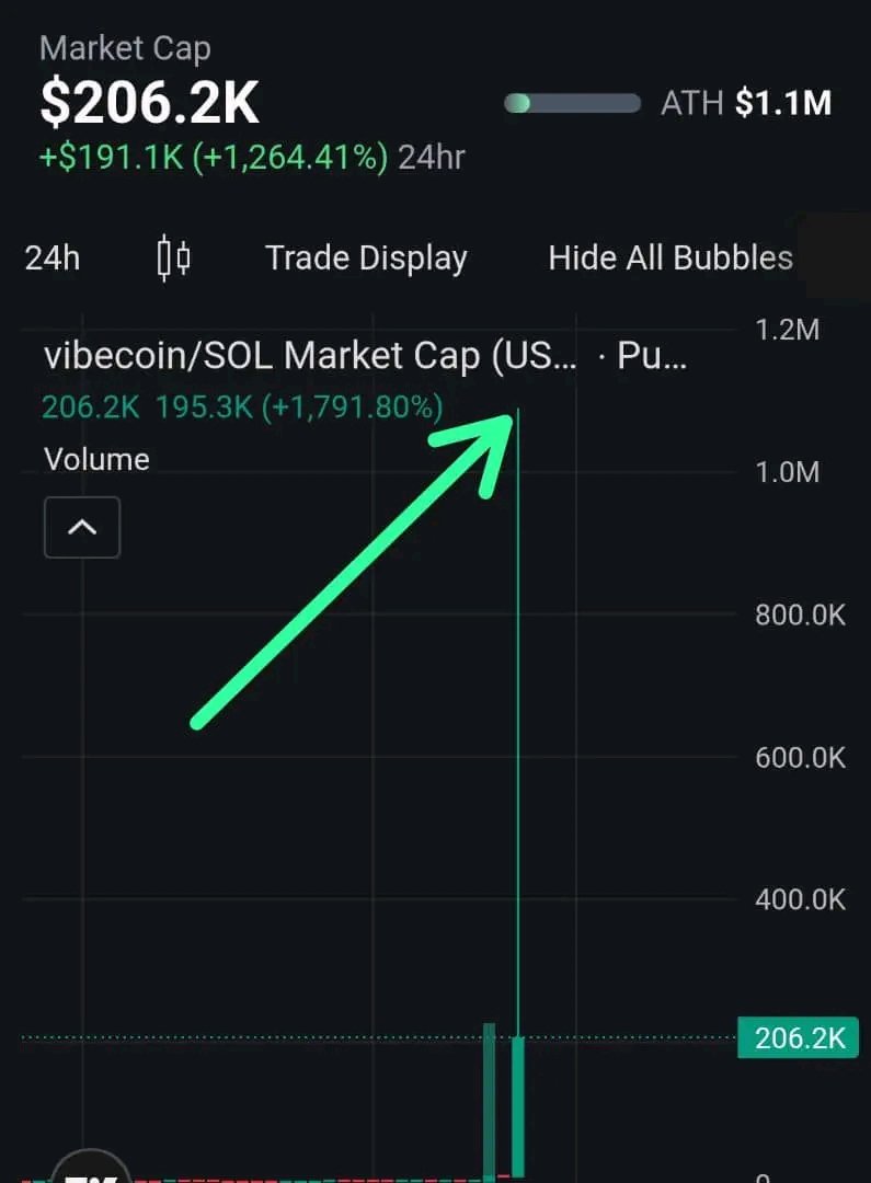 my heart’s racing! I’ve been around CTOs forever, and I’ve never seen a token skyrocket from 24k to 1M market cap in minutes. The weak hands are Gone. They felt they could rug the token, and now the price is rock-solid at 200k MC. This is our shot—real ones only.  #vibescheck