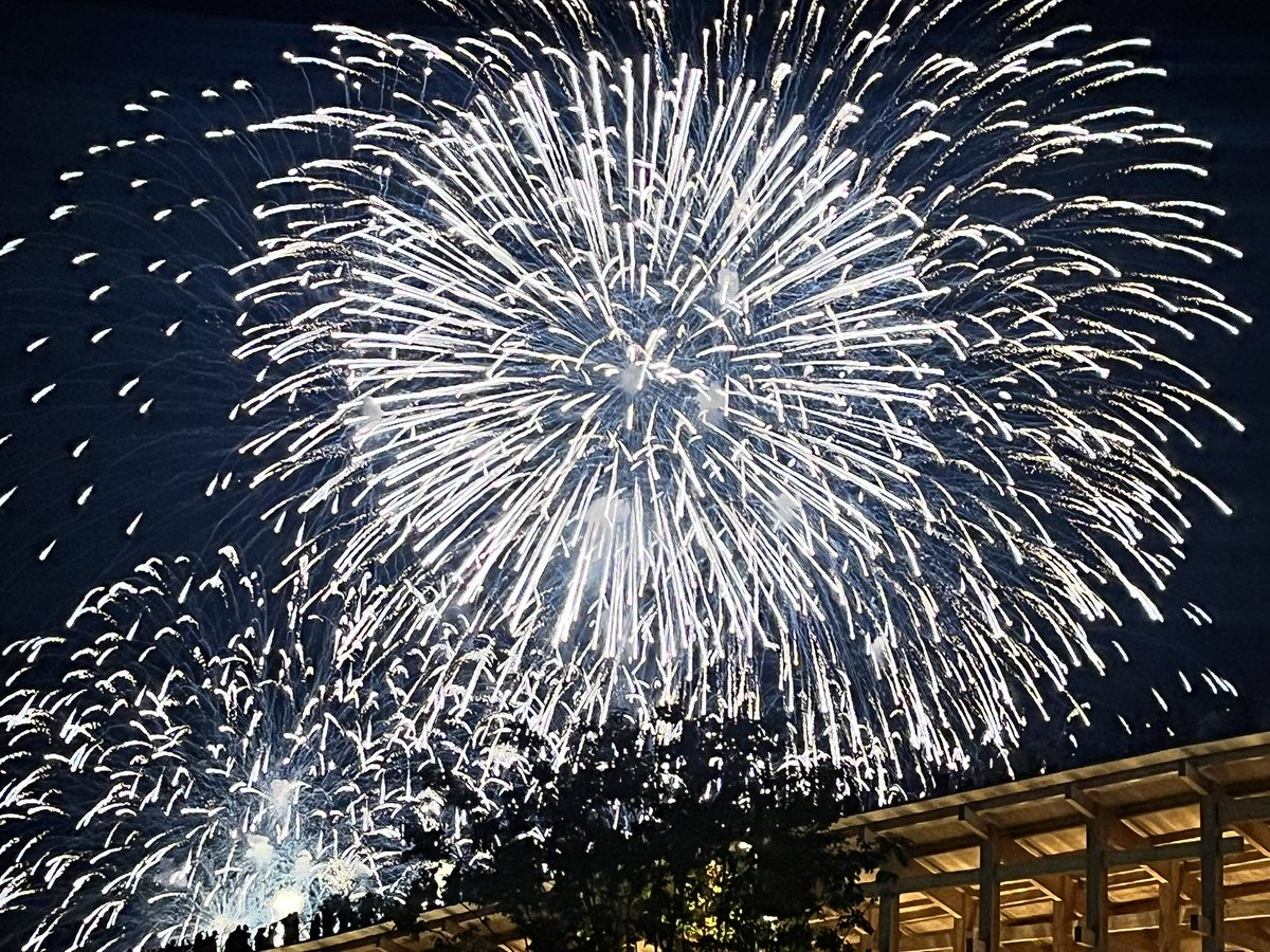 カサブランカ！(Augustの 花火！パートⅡ) 2025 大曲の花火「オーロラの彼方へ」芳賀火工 - YouTube