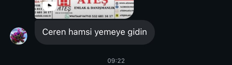 Annemden bir yeni mesaj