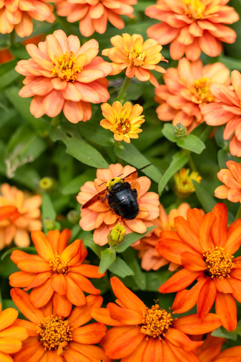 神には程遠いけどいつかそう言われるようになりたい！
 #フォロワー10万人以下の神カメラマン発掘したい