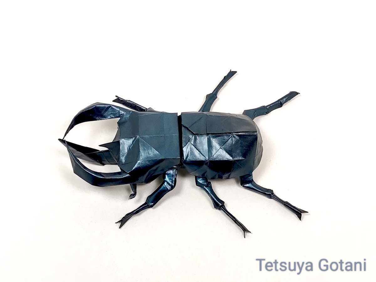 gtetuya2's tweet image. アトラスオオカブト : 合谷哲哉
小学生のころ、お年玉全部使って標本を買いました。一番好きなカブトムシです。