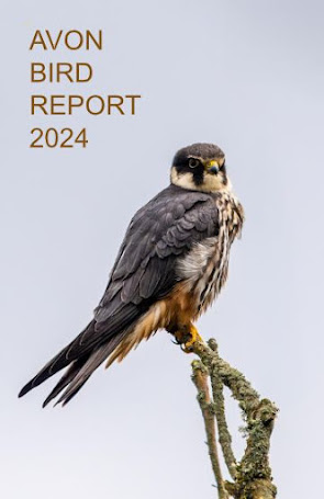 BTO AVON (@avonbto) on Twitter photo The 2024 Avon Bird Report has just landed. Addition of colour text and embedded pictures adds to an already impressive #birdreport. For details of how to obtain a copy email Harvey Rose bktlgodwit@gmail.com <a href="/_BTO/">BTO</a> <a href="/bristolbirding/">BristolBirding</a> The 2024 Avon Bird Report has just landed. Addition of colour text and embedded pictures adds to an already impressive #birdreport. For details of how to obtain a copy email Harvey Rose bktlgodwit@gmail.com <a href="/_BTO/">BTO</a> <a href="/bristolbirding/">BristolBirding</a>