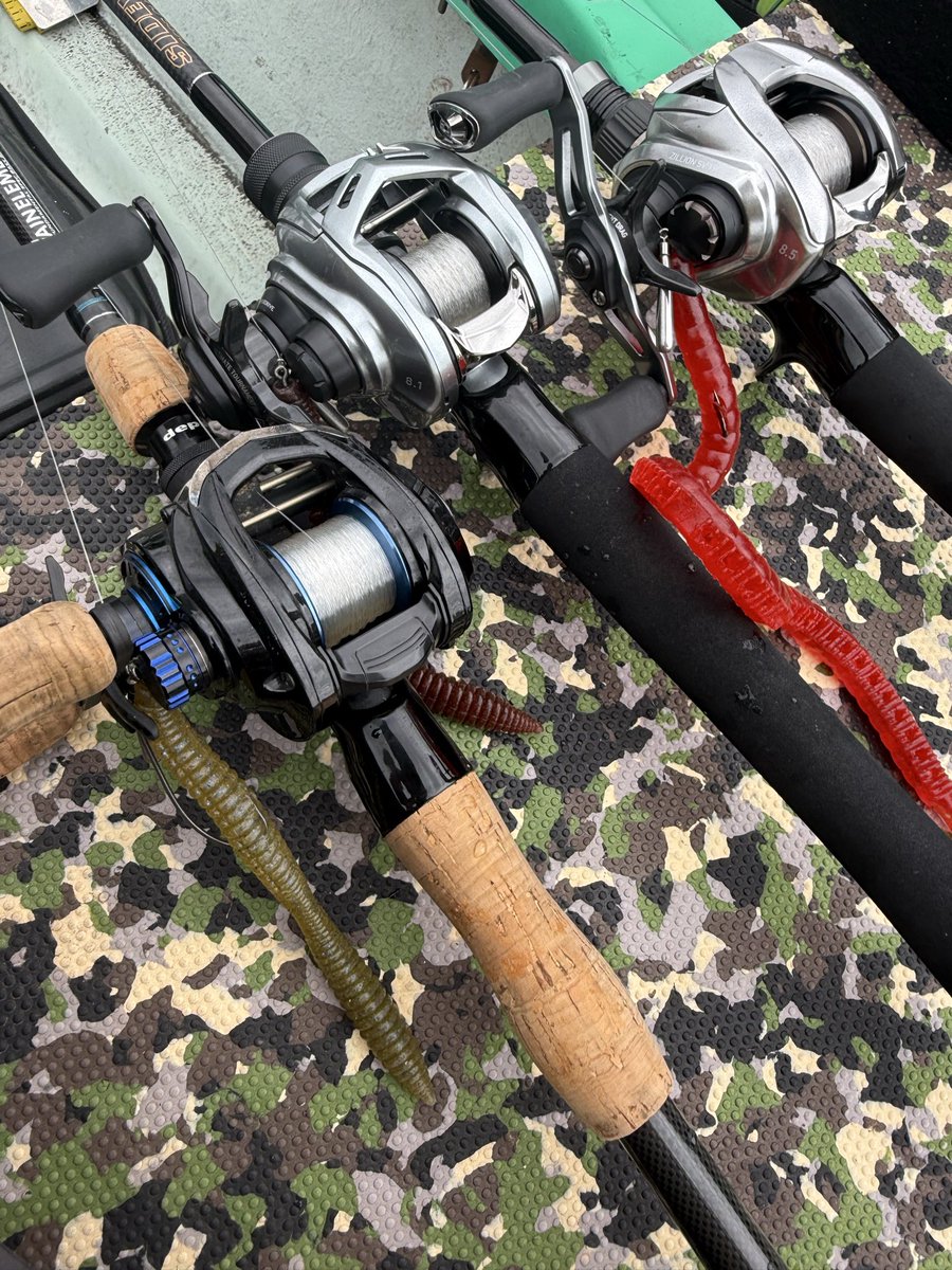 ICHIKAWAFISHING (@ichikawafish) / X